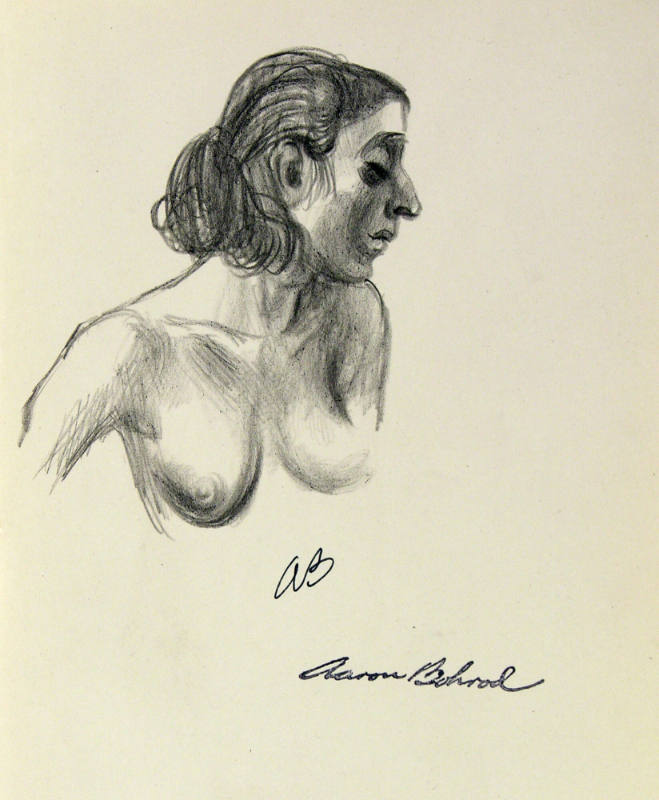 Untitled (Nude female torso)