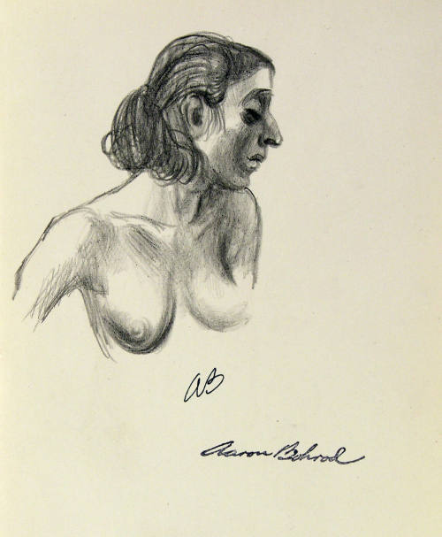 Untitled (Nude female torso)