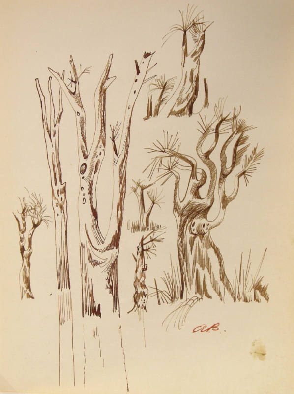 Untitled (Trees)