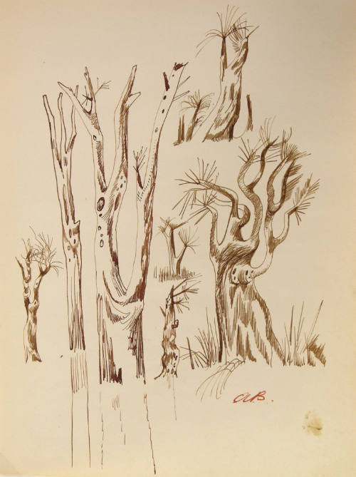 Untitled (Trees)