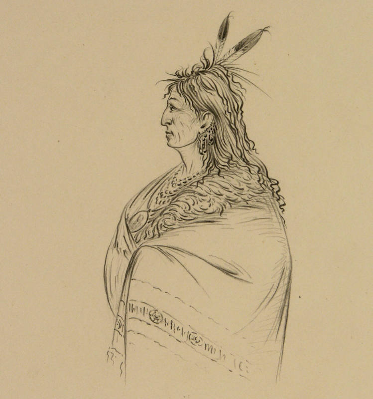 Sioux (the Red Wing)