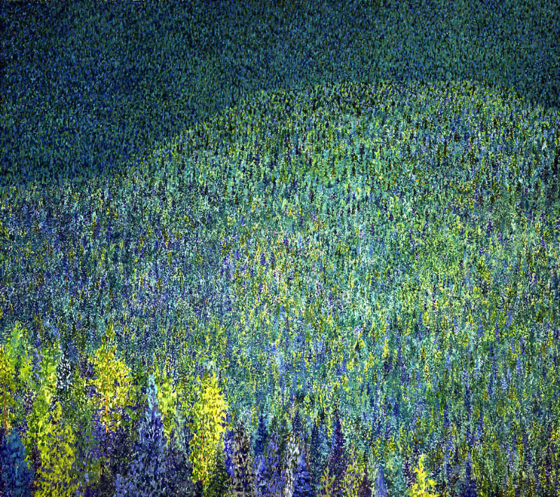 Mixed Conifers