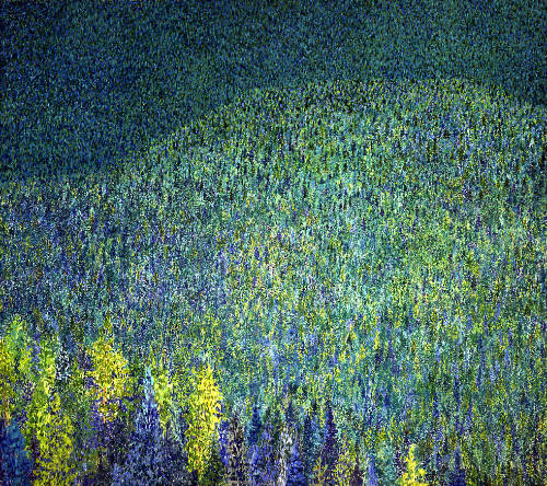Mixed Conifers