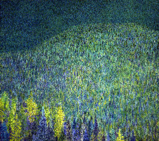 Mixed Conifers