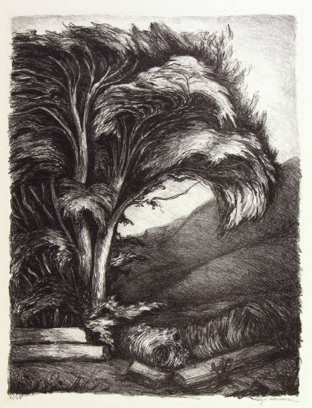 Untitled (Landscape with Tree)