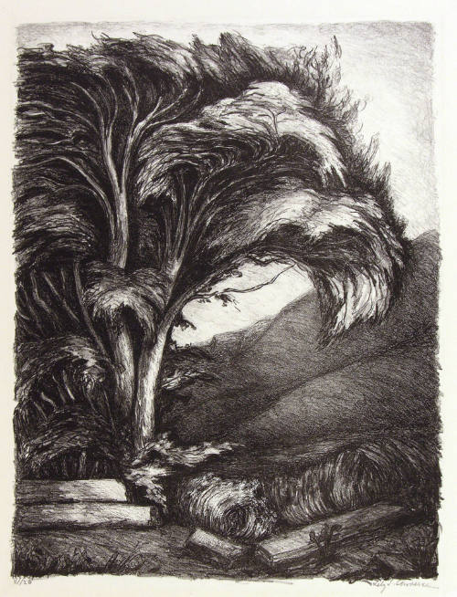 Untitled (Landscape with Tree)