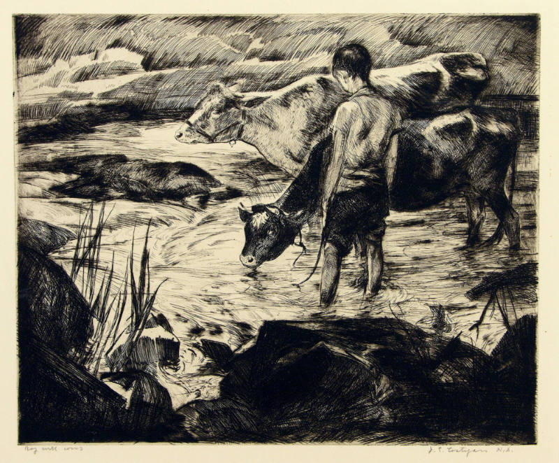 Boy with Cows