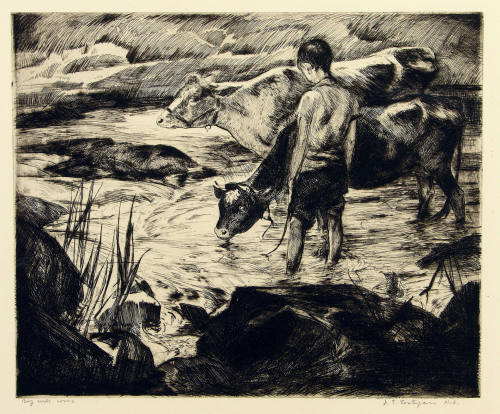 Boy with Cows