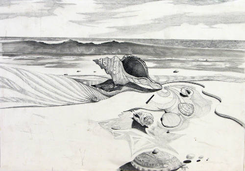 Sea Shell Meditation