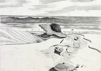 Sea Shell Meditation
