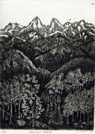 Mountain Forest