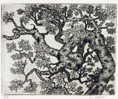 Apple Tree