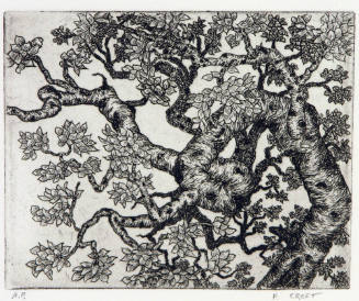 Apple Tree