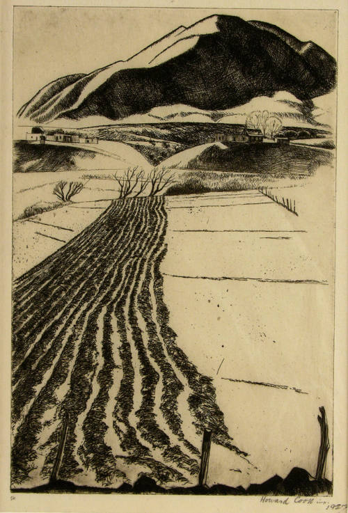 Talpa Furrows