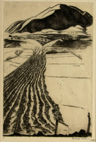 Talpa Furrows