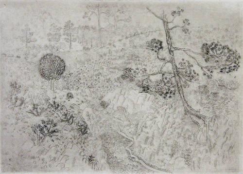 Hopi Snake Dance (from the Portfolio of Ten Etchings Made in New Mexico)