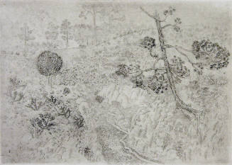 Hopi Snake Dance (from the Portfolio of Ten Etchings Made in New Mexico)