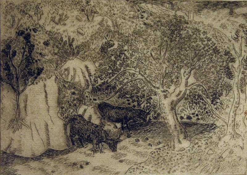 Cows Drinking (from the Portfolio of Ten Etchings Made in New Mexico)