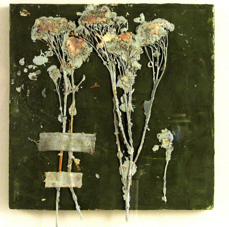 Michelle Stuart
