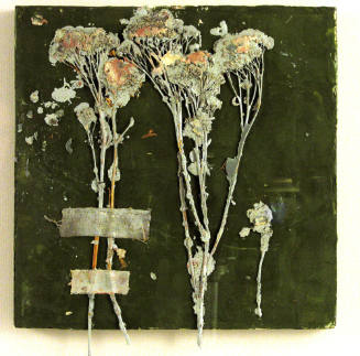 Brookings Herbarium LXIV