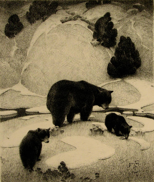 The Mountain Mother, Black Bear and Cubs (from the series Heart of the West)