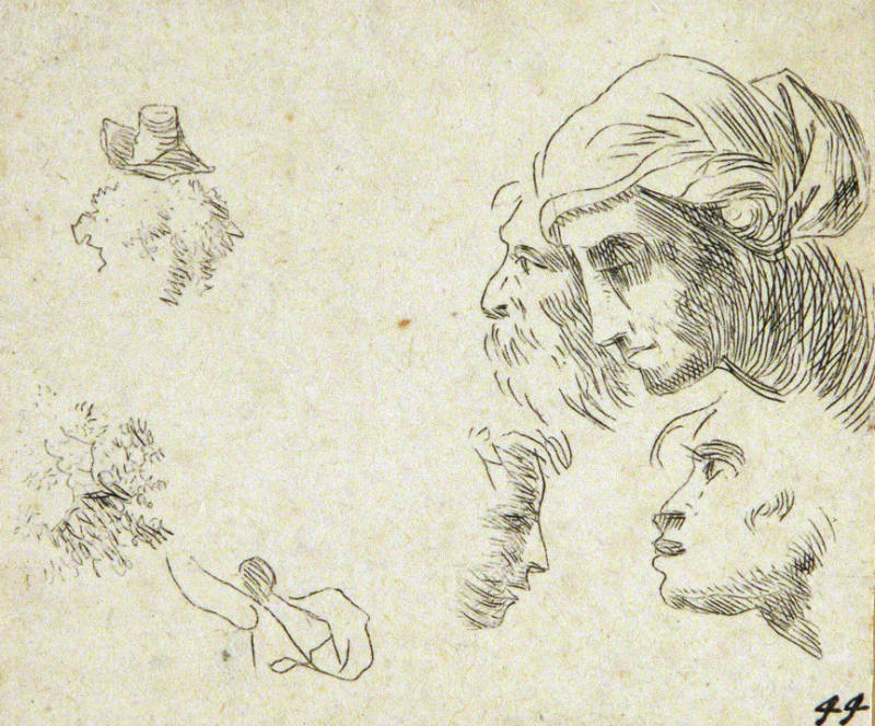 Studies of Heads