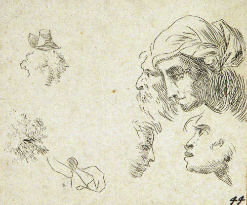 Studies of Heads