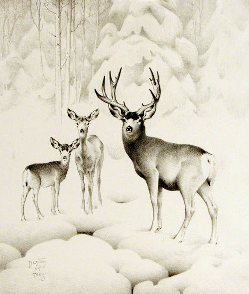The First Snow