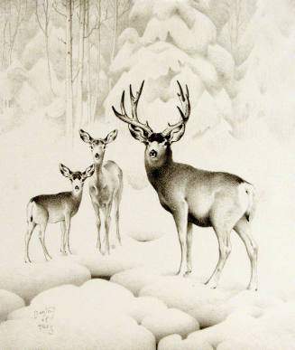 The First Snow