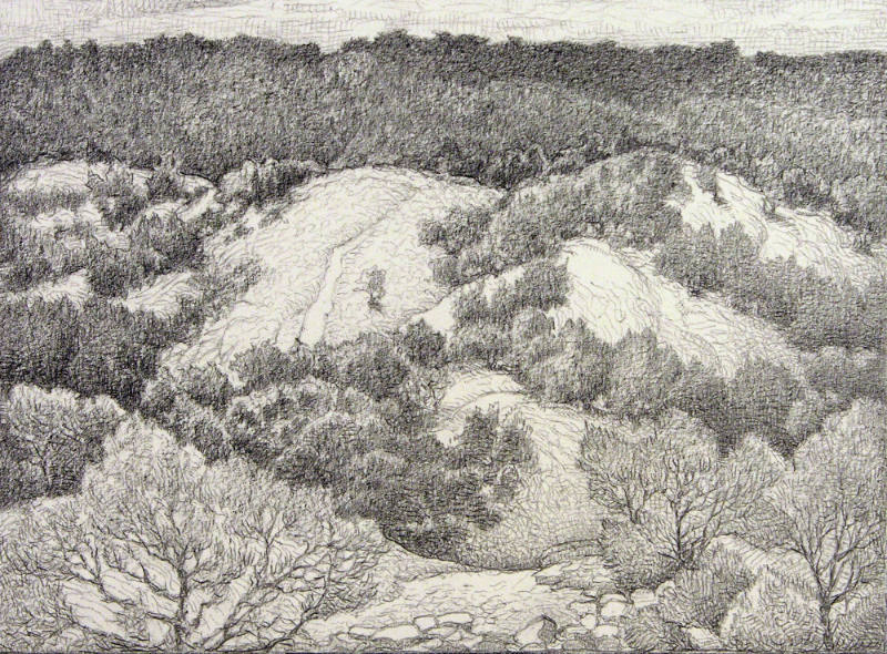 Pinon Hills Santa Fe