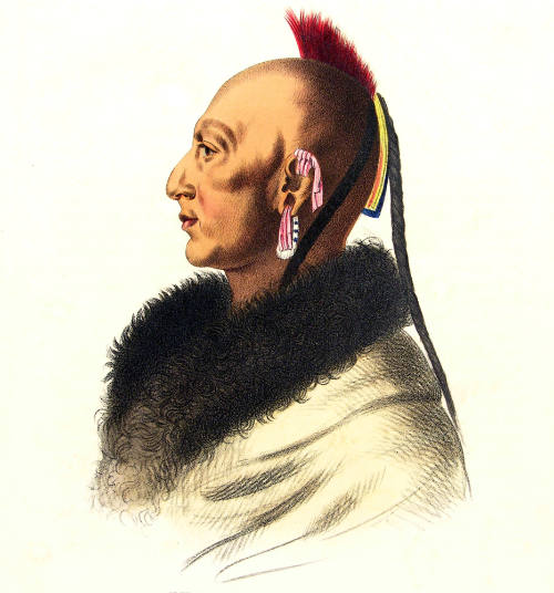 Le Soldat Du Chene (An Osage Chief)