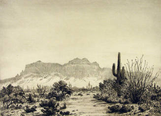 Superstition Mountain - Arizona