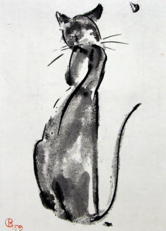 Untitled (Cat)