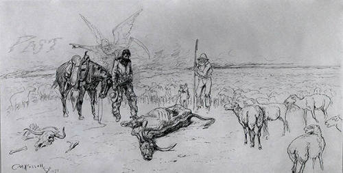 Last of the Herd