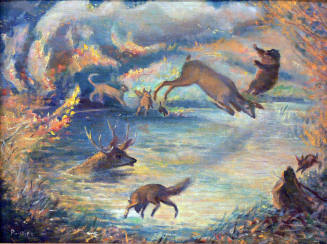 Forest Fire