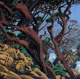 Monterey Cypress (study)