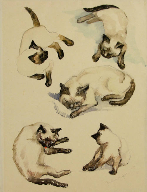 Pauline Harper Moll