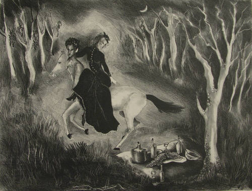 The Picnic