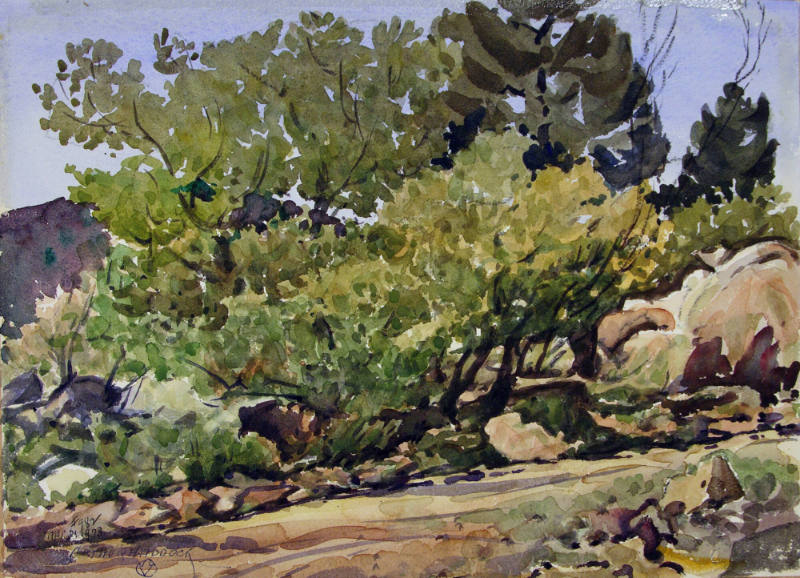 Arizona in Spring
