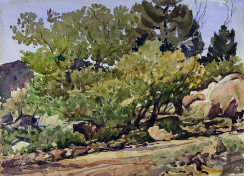 Arizona in Spring
