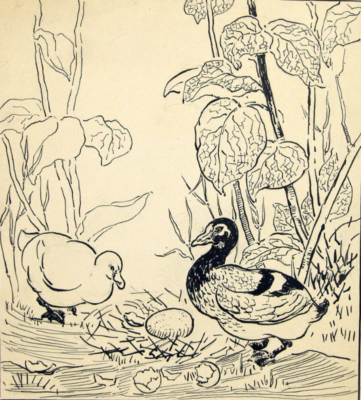 "Yes" Said the Old Duck, "That's a Turkey Egg" (From the book Anderson Fairy Tales)