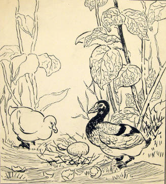 "Yes" Said the Old Duck, "That's a Turkey Egg" (From the book Anderson Fairy Tales)