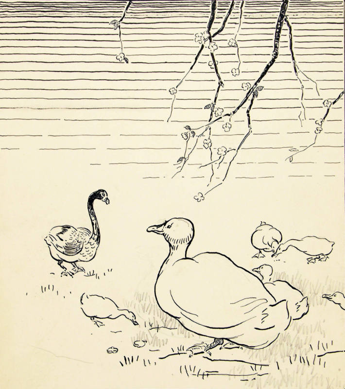 "It’s a Large Duckling", She Said (From the book Anderson Fairy Tales)