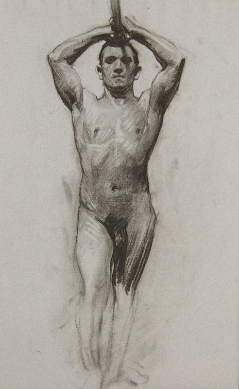 (Standing Nude Male - Both Arms Raised)