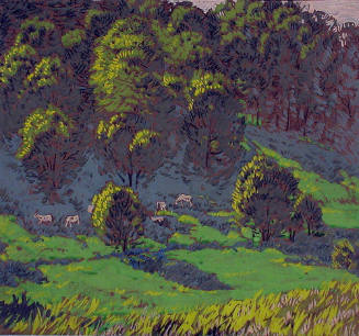 Woodland Meadows (study)