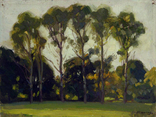 Spring Grove