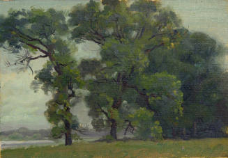 Trees near a Lake