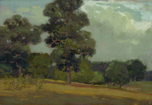 Landscape with Trees and Fields