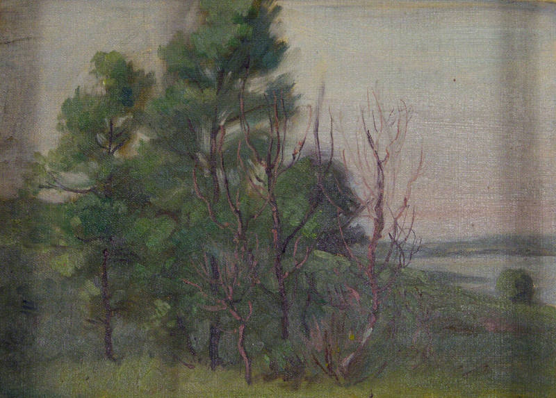 Trees near the Shore
