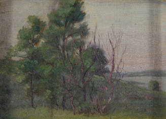 Trees near the Shore